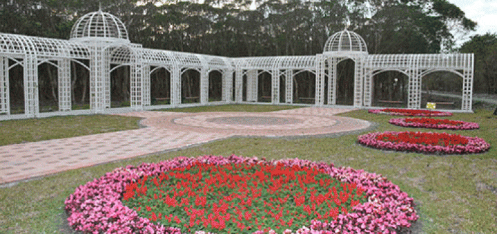 過年去哪玩2014 中部景點 花在彰化