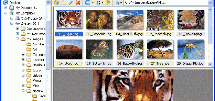 圖片瀏覽軟體 Xnview中文版下載免安裝版