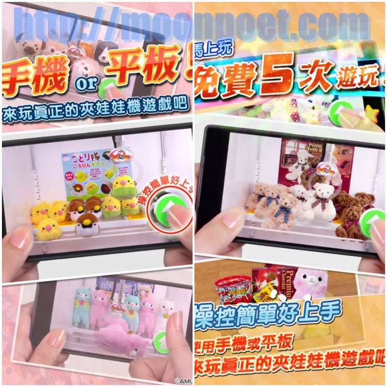 toreba 31