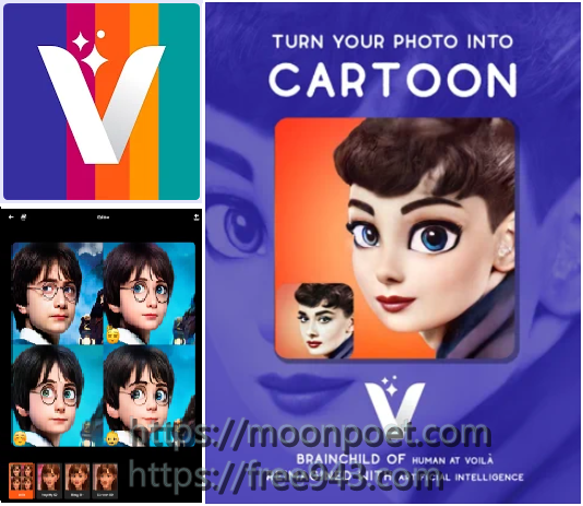 Voila 卡通濾鏡相機 讓你的照片變成冰雪奇緣卡通風格