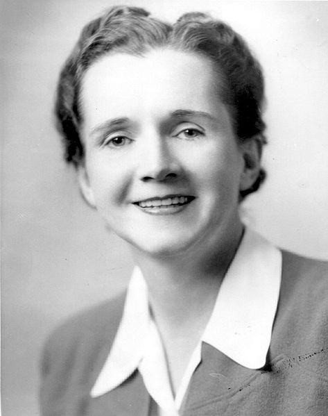 Rachel Louise Carson 瑞秋·卡森 海洋生物學家 107 誕辰