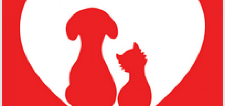 認養狗狗貓咪 APP - 財團法人流浪動物之家基金會