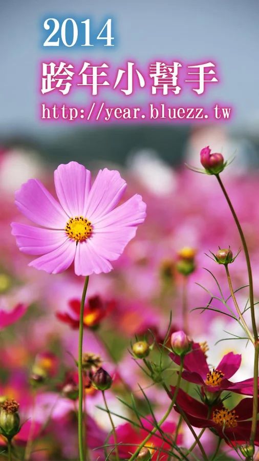 happy_new_year_2014_000