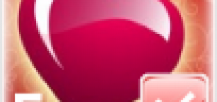 婚禮流程企劃書APP - 完美婚禮計畫