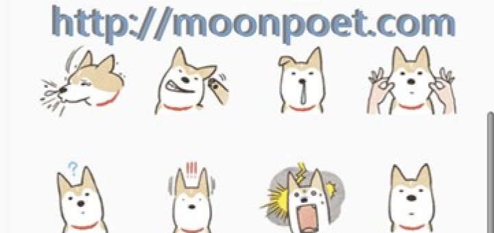 line免費貼圖區下載第二波 – Shiba Inu (可愛柴犬)