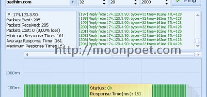 指令圖形化的網路檢測工具 GoPing 1.0